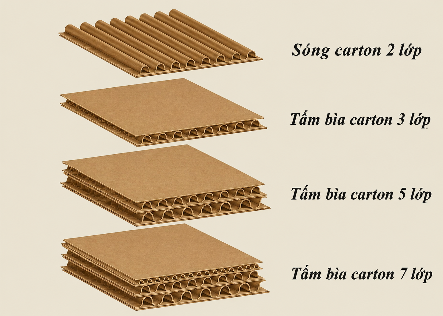 Phân biệt trực quan kết cấu carton 3 lớp - 5 lớp - 7 lớp